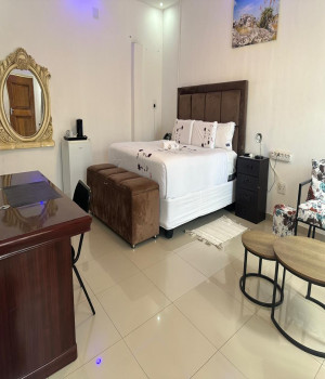 Execuitive Room