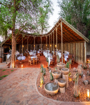 Bagatelle Kalahari Game Ranch