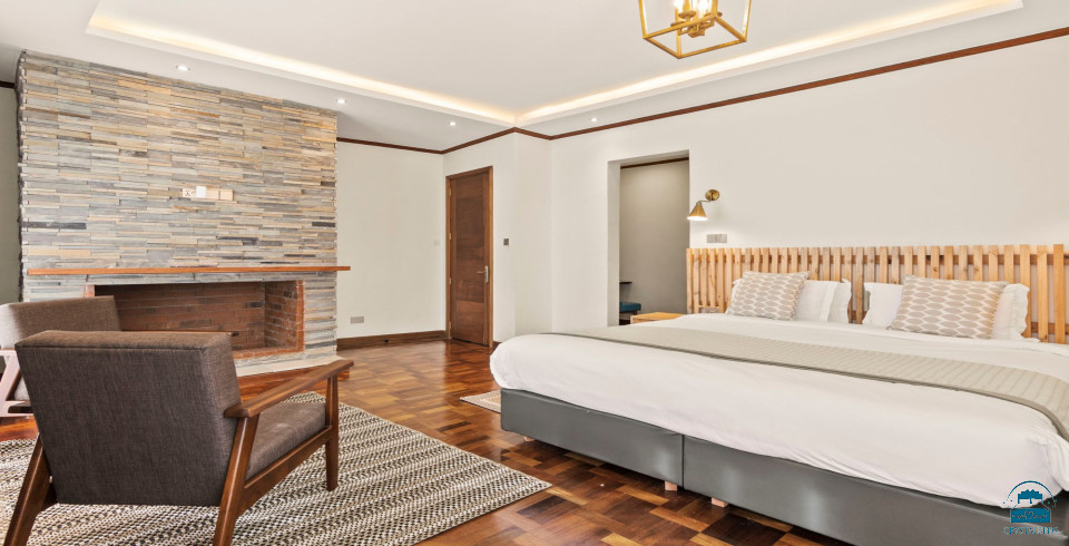Zebra Domus Inn