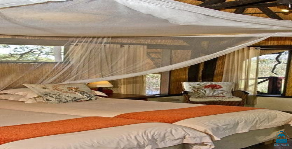 Naankuse Bush Camp
