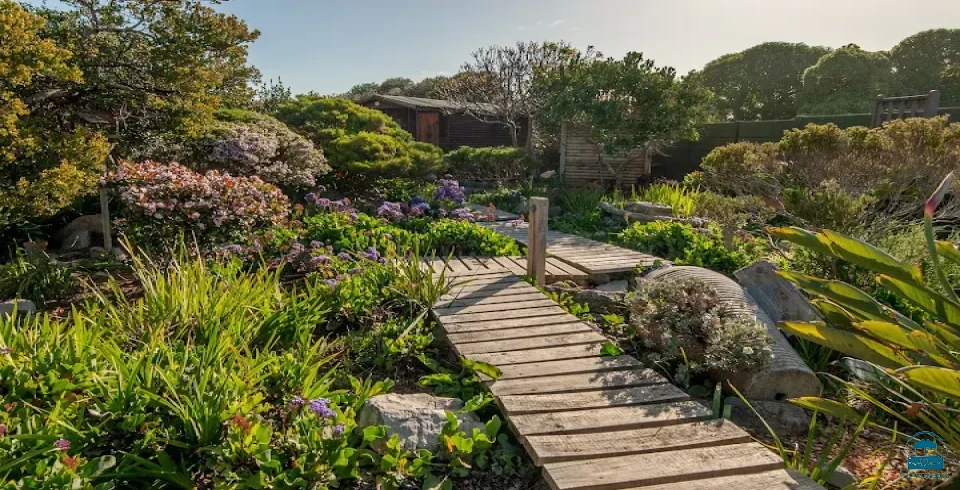 Absolute Ocean Boutique Guesthouse