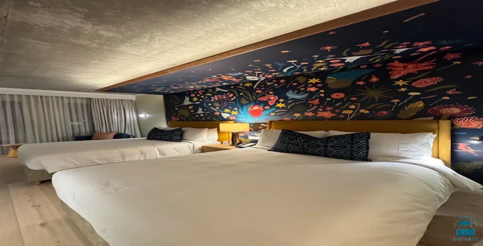 Canopy By Hilton Capetown